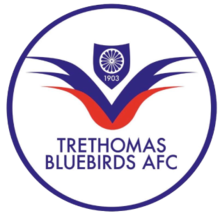 Trethomas Bluebirds
